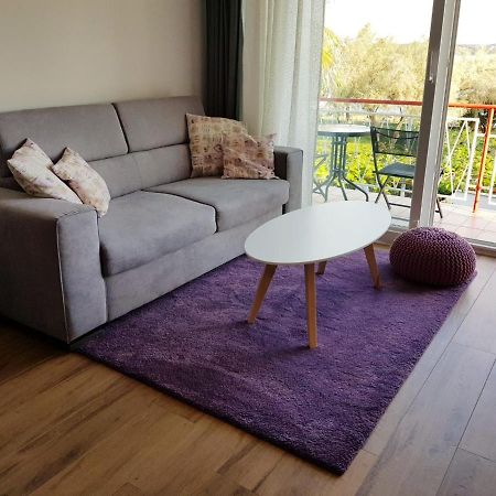 Apartman Luka Novigrad  Exterior photo